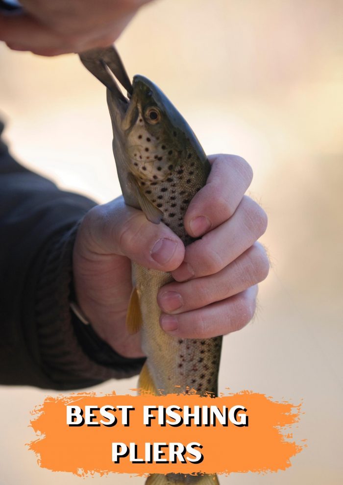 Handle Your Catch with Precision: Best Fishing Pliers at Fishinges