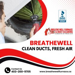 Furnace Cleaning Services in Calgary: Solutions for Cleaner