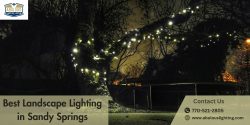 Best Landscape Lighting in Sandy Springs