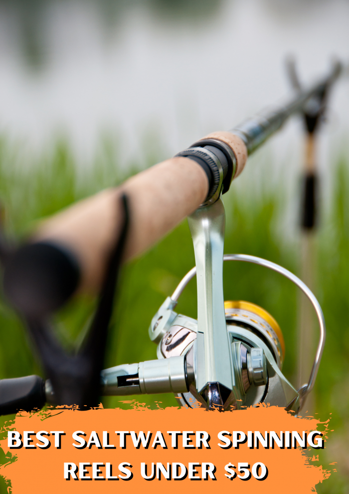 Quality on a Budget: Best Saltwater Spinning Reels Under $50 at Fishinges