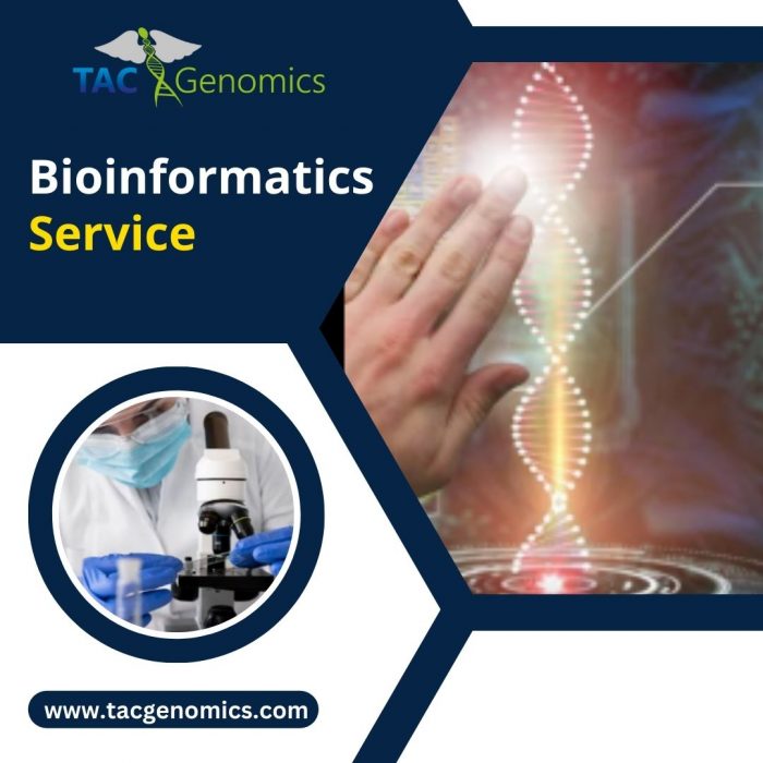 Bioinformatics Service