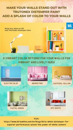 5 VIBRANT COLOR OPTIONS FOR YOUR WALLS FOR VIBRANT AND LIVELY HUES