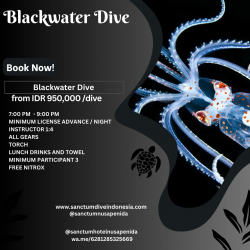 Blackwater Dive
