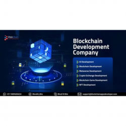 Elevate your business with our comprehensive suite of blockchain services!