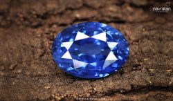 Discover the Enchantment of a 5 Carat Blue Sapphire