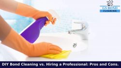 DIY Bond Cleaning vs. Hiring a Professional: Pros and Cons.