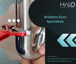 Hire Top Quality Brisbane Euro Specialists in Your Area