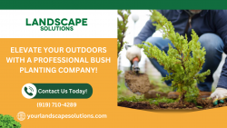 Embrace Nature Indoors with Our Bush Planting Service!