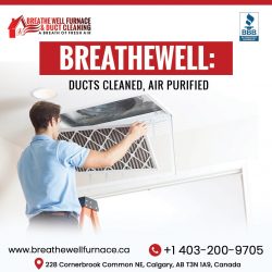 Professional Calgary Duct Cleaning Services