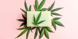 Leading Cannabis SEO Firm: Boost Your Online Presence Today
