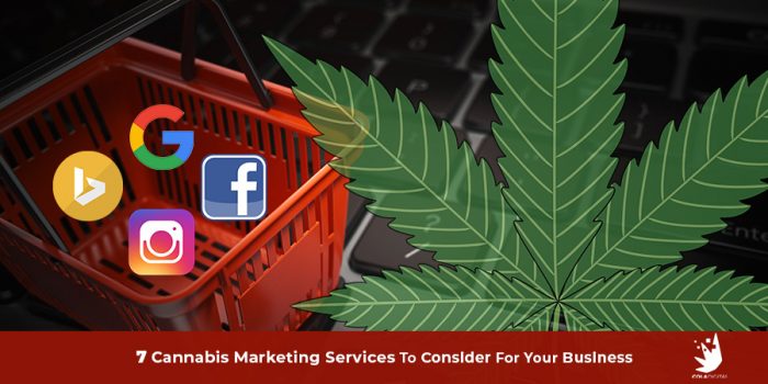 Unlocking Growth: Cannabis Digital Marketing Strategies | Expert Tips