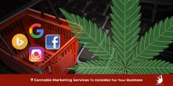 Unlock Success with the Top Cannabis Marketing Agency | Drive Growth Today