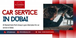 Purchase Spare Parts For Car Service in Dubai – Al Shamali Auto Parts Group