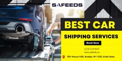 Safeeds Transport Inc.: Affordable and Secure Car Transport Services
