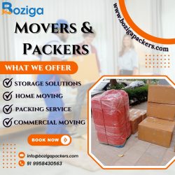 Who are the best packers and movers in Rohini, Delhi?