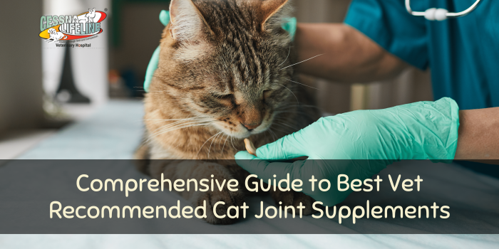 Comprehensive Guide To Best Vet Recommended Cat Joint Supplements