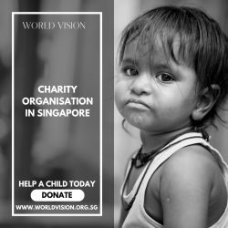 Finding Your Cause: Renowned Charities Making a Difference in Singapore