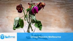 cheap flowers in melbourne