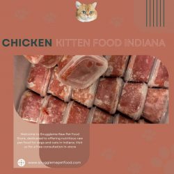 Chicken Kitten Food Indiana