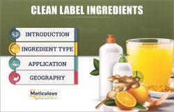 Clean Label Ingredients Market Size, Share, & Trends
