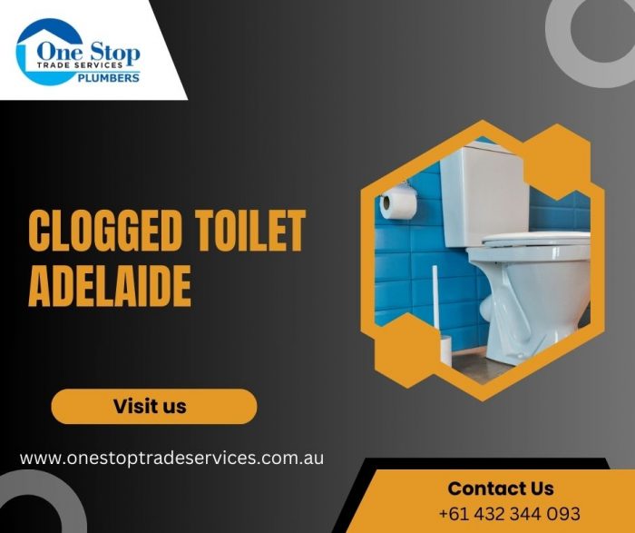 Get Professional Services For Blocked Toilet Adelaide