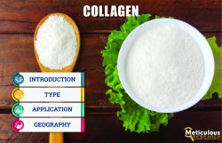 Increasing Growth of the Collagen Market