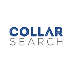 Best Professional RPO Firm | Collar Search