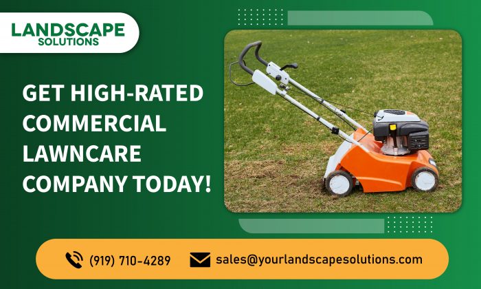Make Your Commercial Lawn Shine with Our Experts!