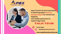 Comprehensive Accounting Investigations by Apex Forensic Services