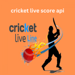 Cricsportz: Real-Time Cricket Score API for Live Streaming