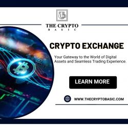 Simplifying Cryptocurrency Trading: Your Guide to Crypto Exchange