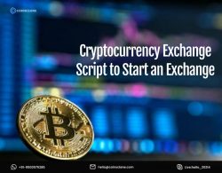 Cryptocurrency Exchange Script to Start an Exchange