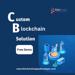 Custom Blockchain Solution