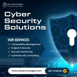 Cybersecurity Services – Osiz Technologies