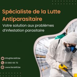 Spécialiste de la Lutte Antiparasitaire: Votre Solution aux Problèmes d’infestation Parasitaire