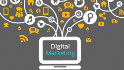 Delhi’s Digital Architects: Leading Digital Marketing Company