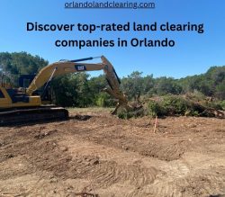 Discover Top-Rated Land Clearing Companies in Orlando