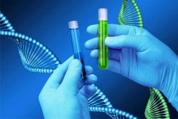 DNA Nutrition test in Dubai