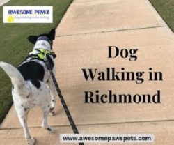 Dog Walking in Richmond | Awesome Pawz Pet Care, LLC