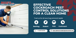 Effective Cockroach Pest Control Solutions for a Clean Home