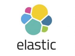 Get Experienced Elasticsearch Consulting services