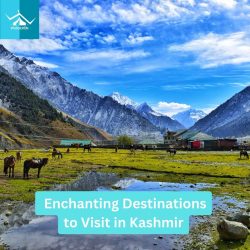 Enchanting Destinations to Visit in Kashmir