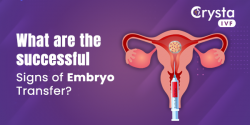 What are the successful signs of embryo transfer?
