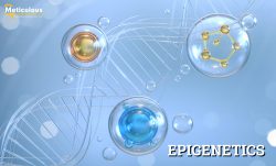The Epigenetics Market to be Worth $5.47 Billion by 2030—Exclusive Report by Meticulous Research®”