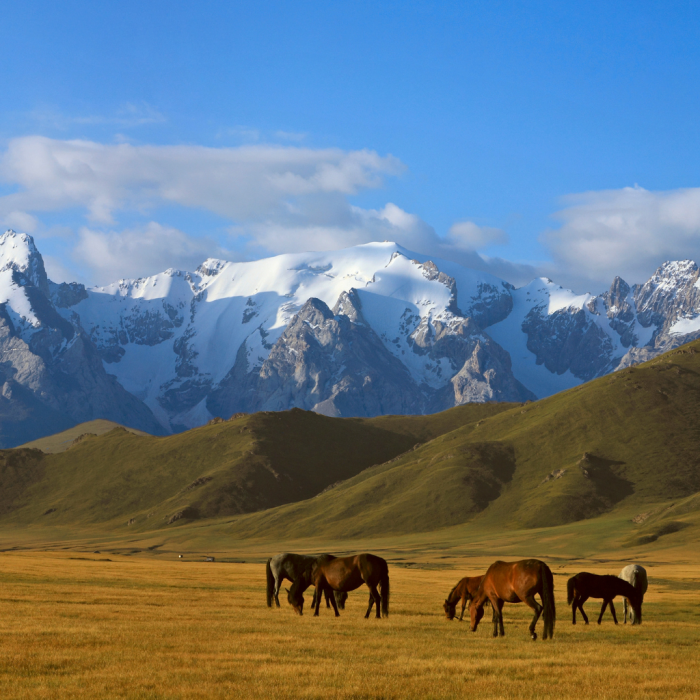 Get your Kyrgyzstan e-Visa Online at E-Visa Xperts