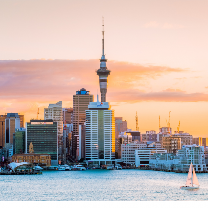 Get Your New Zealand e-Visa Online At E-Visa Xperts