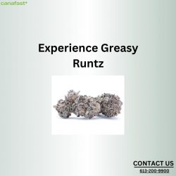 Experience Greasy Runtz