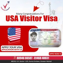 Expert Immigration Consultants | USA Visitor Visa