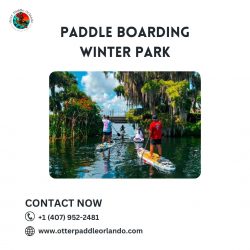 Exploring the Paddle Boarding Winter Park
