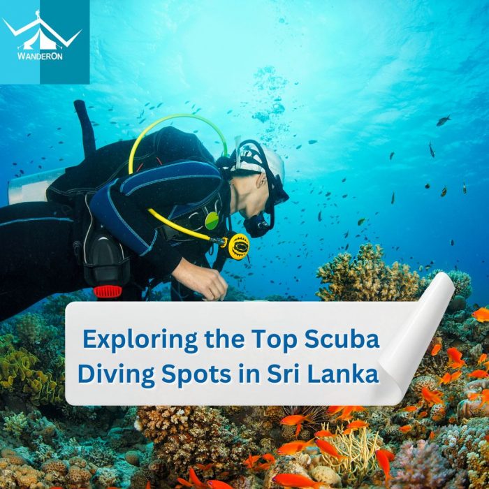 Exploring the Top 10 Scuba Diving Spots in Sri Lanka